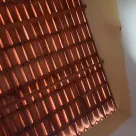 Foto profissional de Dan