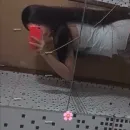 Imagem ou Vídeo