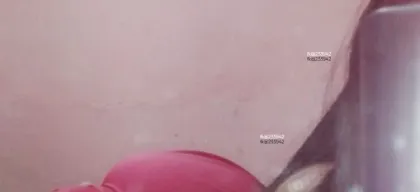 Foto profissional de Íris