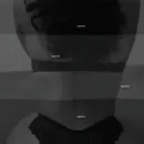 Imagem ou Vídeo