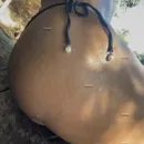Imagem ou Vídeo