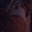 Imagem ou Vídeo