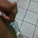 Foto de MORENO SIGILO CHEIROSO