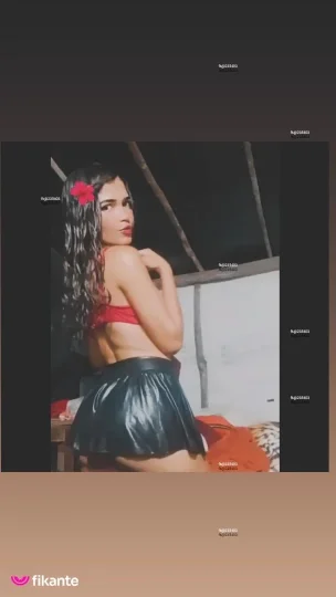 Imagem ou Vídeo