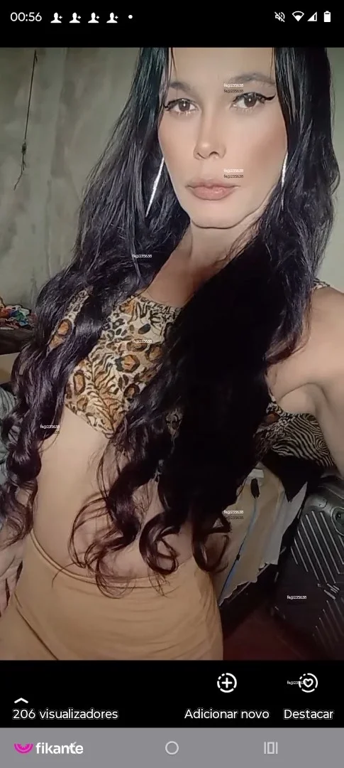 Foto de Campolina