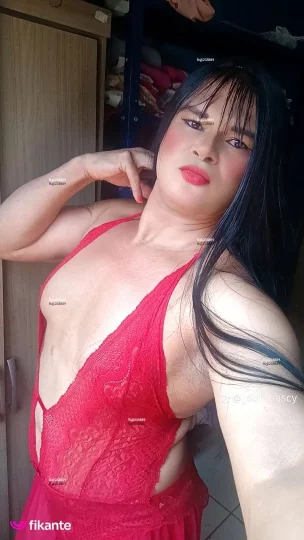Imagem ou Vídeo