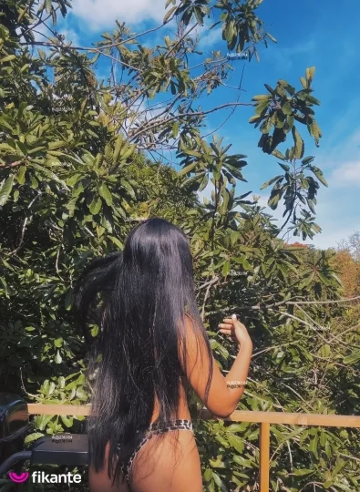 Imagem ou Vídeo