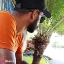 Imagem ou Vídeo