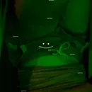 Imagem ou Vídeo