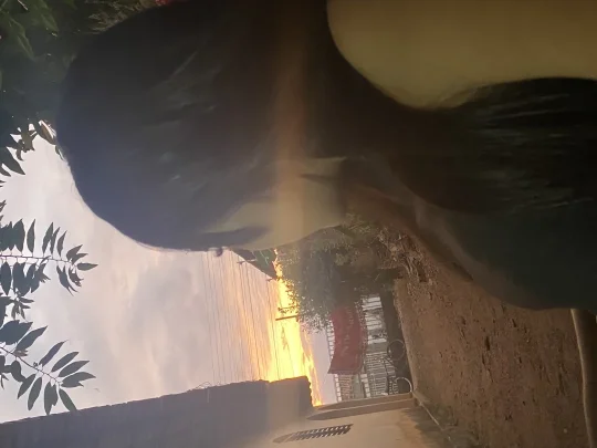 Foto profissional de Mille