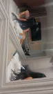 Foto profissional de Nifet