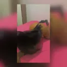 Foto profissional de Delicinha do anal