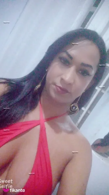 Imagem ou Vídeo