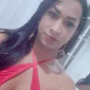 Imagem ou Vídeo