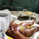 Imagem ou Vídeo