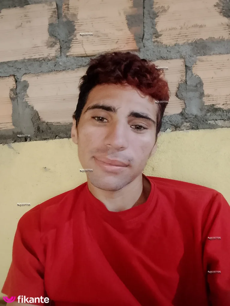 Imagem ou Vídeo