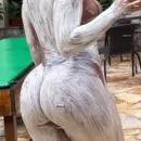 Imagem ou Vídeo