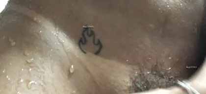 Foto profissional de Japinha