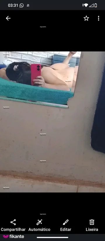 Imagem ou Vídeo