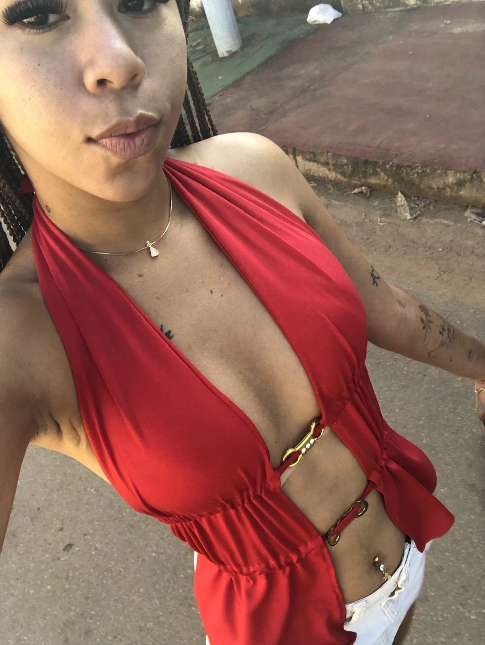 Foto profissional de Raposinha