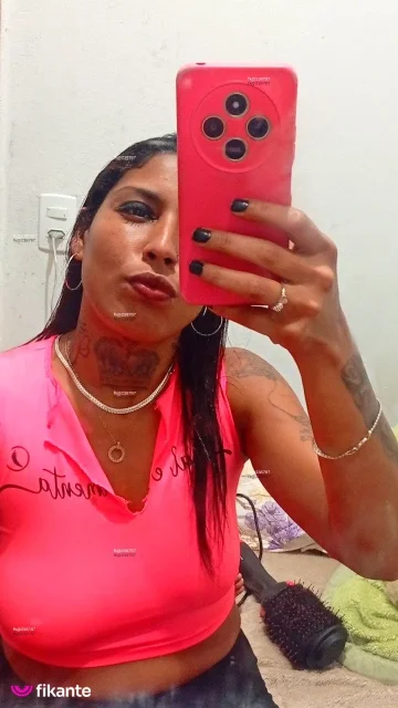 Imagem ou Vídeo