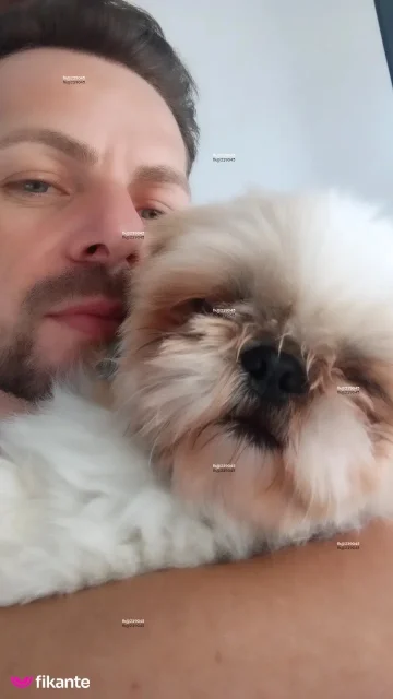 Imagem ou Vídeo