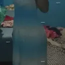 Foto de Merculys