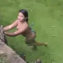 Imagem ou Vídeo