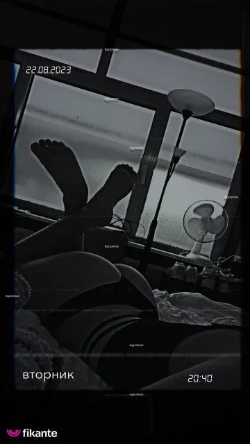 Imagem ou Vídeo
