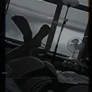 Imagem ou Vídeo
