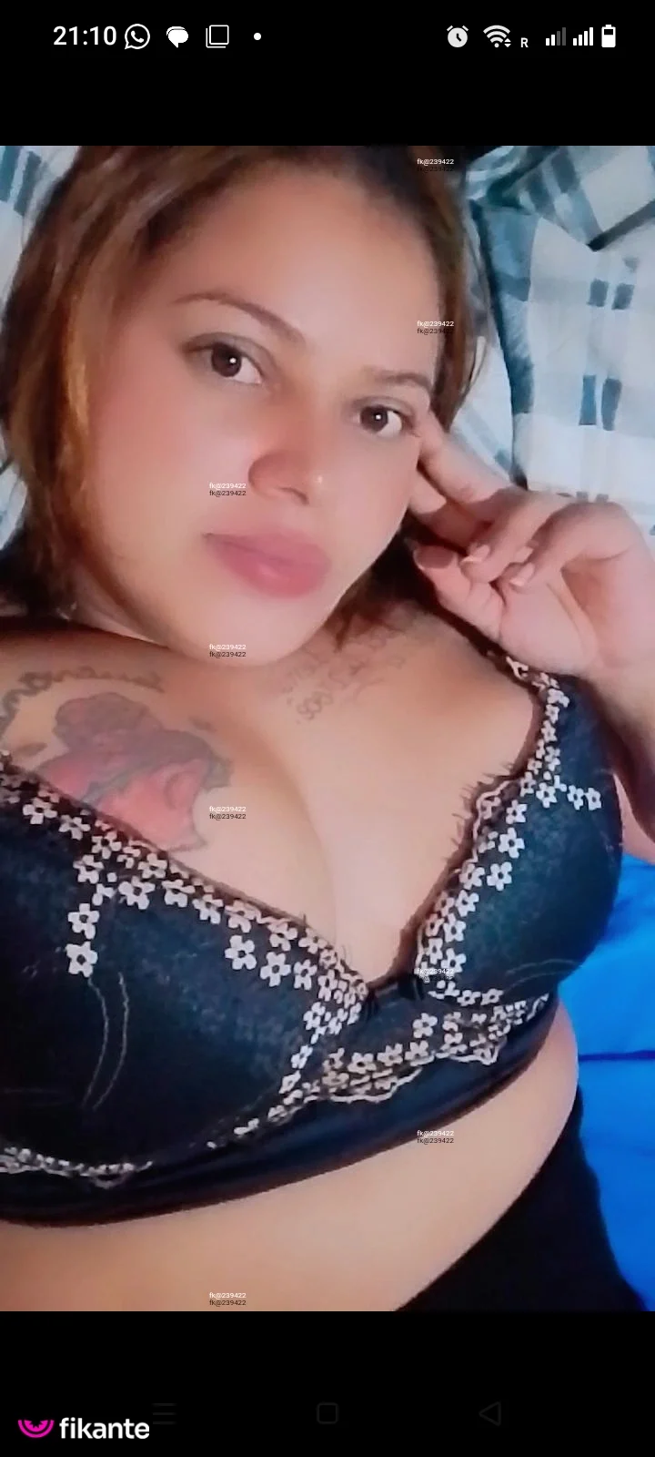 Paloma - foto no feed de Cristalina