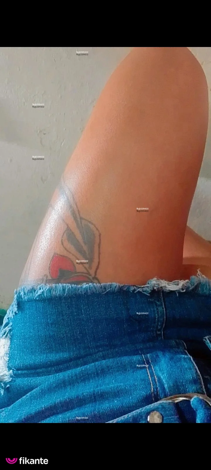 Paloma - foto no feed de Cristalina