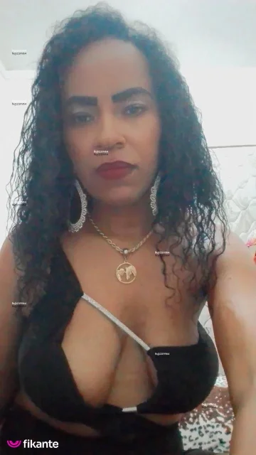 Foto de Poly