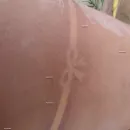 Foto de Silmara Mendes