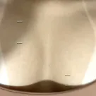 Foto profissional de Beatriz Novaes