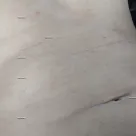 Foto profissional de Pedro luiz
