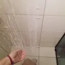 Foto de Kauh