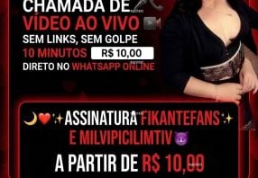 foto de perfil de Lara cardoso