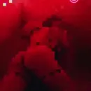 Imagem ou Vídeo
