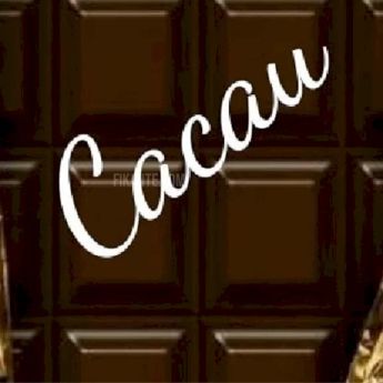 Cacau a Oficial - foto no feed de Ponta Grossa