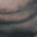 Imagem ou Vídeo