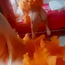 Imagem ou Vídeo