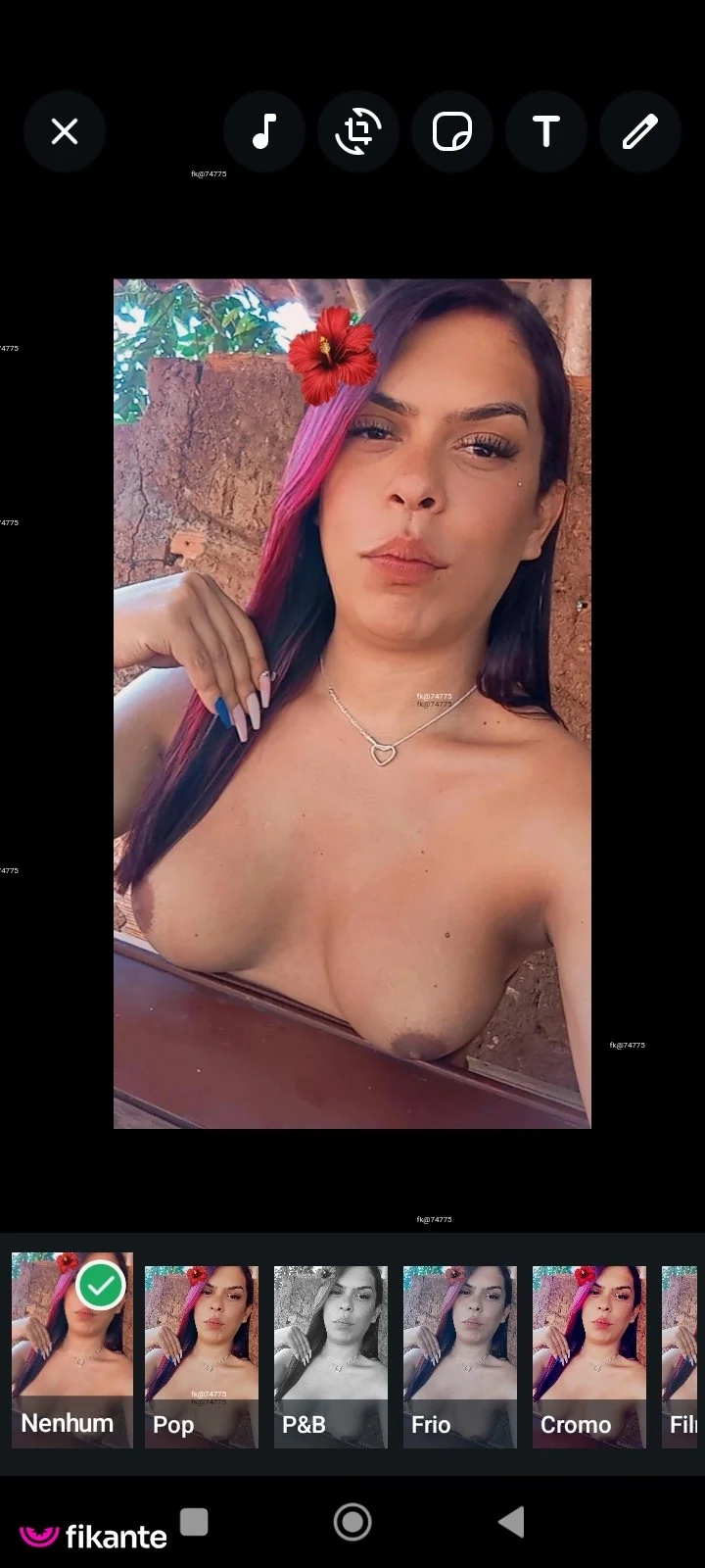 Polly safadinha
