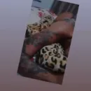 Imagem ou Vídeo