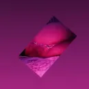 Imagem ou Vídeo