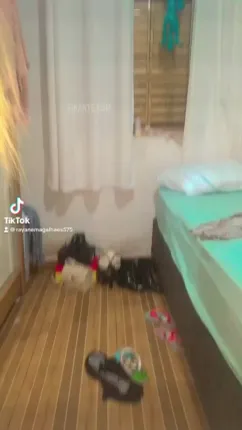 Angel - foto no feed de Ipameri