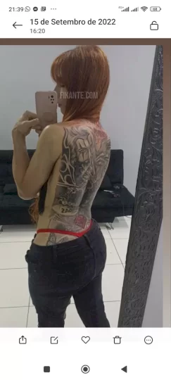 Imagem ou Vídeo